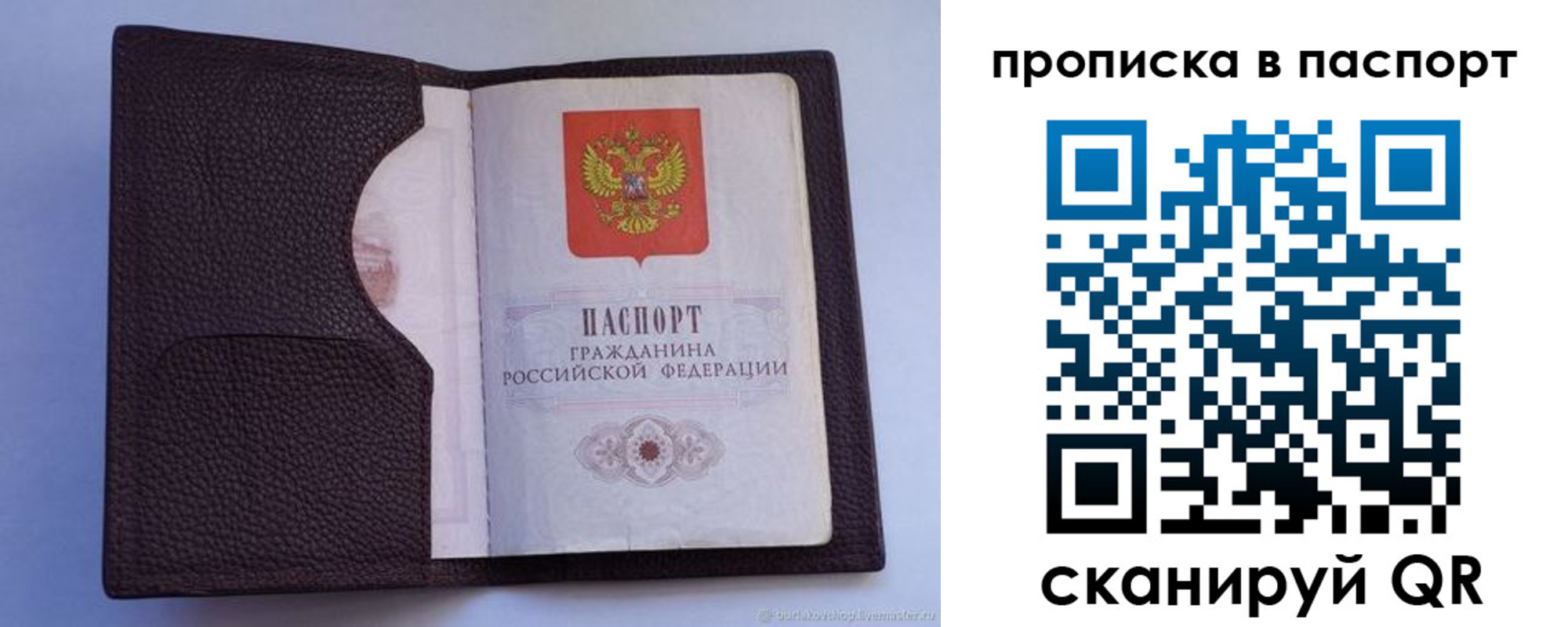 прописка законно в Торопеце